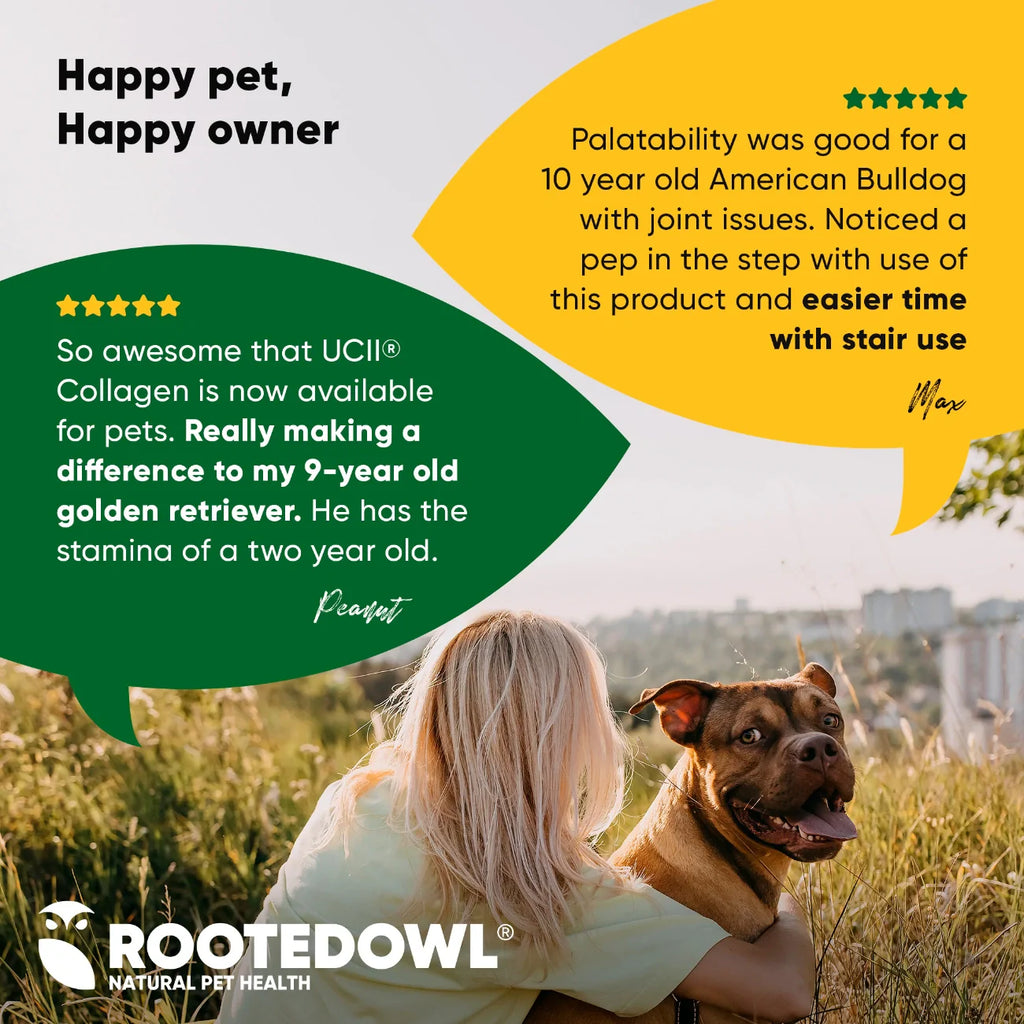 Joint Supplement for Medium & Large Dogs — UC-II® Collagen + L-Carnitine